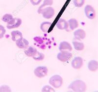 認定中古車の値引きについて質問です 正規ディーラーの認定中古 Yahoo 知恵袋