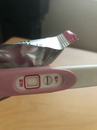妊娠検査薬 真っ白