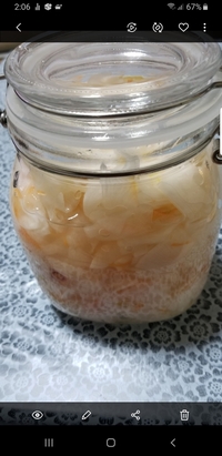 新生姜の甘酢漬けの残り汁を有効利用したいのですが何かありますか 出来 Yahoo 知恵袋