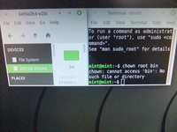 Linuxのコマンドについてです Linuxmintのターミナルで Yahoo 知恵袋