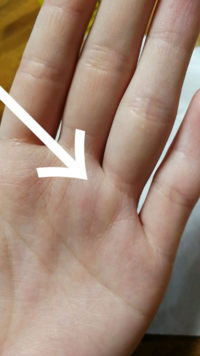 手相占い太陽環について この手相は 太陽環と言えるでしょうか Yahoo 知恵袋