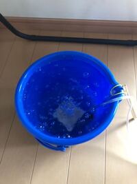 メダカが白点病になってるので 塩浴と薬浴をしたら水面に 見えるか見えないかぐ Yahoo 知恵袋