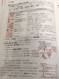 なんでこんなに看護学生ってつらいんですか ストレスの量が尋常 Yahoo 知恵袋