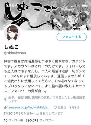 しぬこさんって 何者ですか 一般人 何故こんなにフォロワーが多 Yahoo 知恵袋