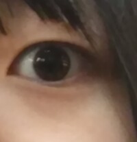 消す 中学生 を クマ 方法