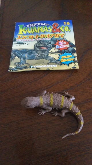イグアナアンドコーという玩具を買って 温度で色が変わる蜥蜴を当てたのですがお湯 Yahoo 知恵袋