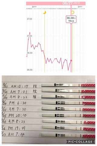 妊娠希望で 妊活2周期目です 生理周期が安定してなくて平均すると37周期です体 Yahoo 知恵袋