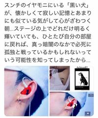 Seventeenのエスクプスのイヤモニの黒い犬はクプスからの Yahoo 知恵袋