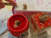 みなさんは サボテンに水をあげるとき サボテン本体に水をかけ Yahoo 知恵袋
