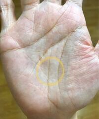 2 3日前から手にうっすらとハートマークが現れました 手相の本 Yahoo 知恵袋