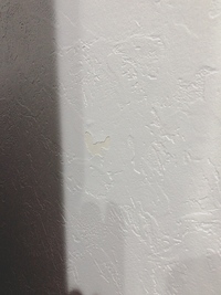 賃貸アパートに住んでいます ダイソーの貼って剥がせるフックを壁につけていたのです 教えて 住まいの先生 Yahoo 不動産