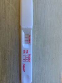 胚盤胞移植後の症状についてです 今日でbt4日目ですが Yahoo 知恵袋