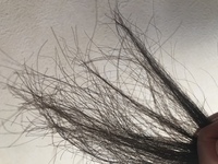 流さないトリートメントとヘアオイルの違いはなんですか こん Yahoo 知恵袋