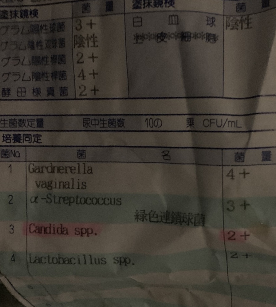 先日婦人科で一般細菌報告書の結果をもらったのですが 調べても見方がわからず困っ Yahoo 知恵袋