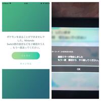 ｄｓのポケモンプラチナで ピカチュウが欲しいのですが自慢の裏庭で Yahoo 知恵袋