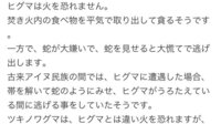 ヒグマが火を恐れない理由とアイヌが伝えるヒグマの対策について質問です ヒグマ Yahoo 知恵袋