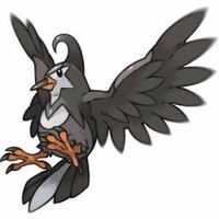ポケモンxyに関する質問です 時間帯によって現れるポケモンをなるべ Yahoo 知恵袋