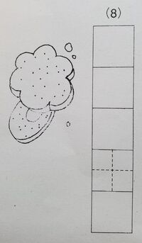 小学一年生へのカタカナの教え方小学一年生でカタカナの学習はしました Yahoo 知恵袋