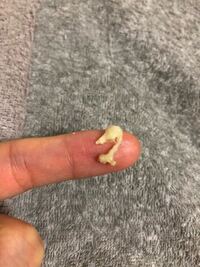 潜水艦 情報 ブラウザ 排卵 日 おり もの スライム Simulacademy Jp