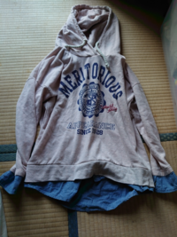 高校生女子です このパーカーにあうコーデ教えて下さい カーキのブルゾン Yahoo 知恵袋
