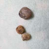 神奈川県小田原市を流れる酒匂川の 酒匂 は 作革 ですか 苗字の 佐 Yahoo 知恵袋