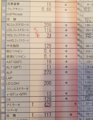 数値 アミラーゼ 膵臓 癌