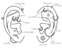 男性に質問です ピアスとイヤリング 好感度が高いのはどちらですか 最 Yahoo 知恵袋