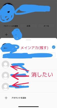 アカウント 削除 サブ 垢 インスタ