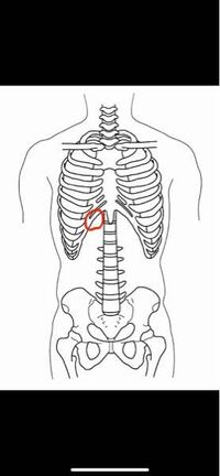 みぞおち右側の痛みについて 27歳男性です 画像内の赤くマーク Yahoo 知恵袋
