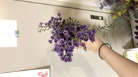 花束を持ち歩くときは下向きに持つ って正解ですか 昔は 下を持つと言わ Yahoo 知恵袋