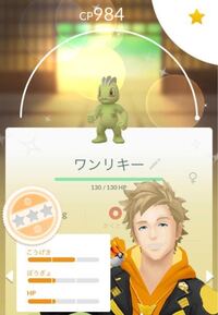 ポケモンgo初心者です この前ワンリキーの色違いをゲット出来たのですが Yahoo 知恵袋