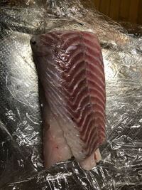 釣ってきた魚は何日くらい食べれますか 内臓 エラなどは出してい Yahoo 知恵袋