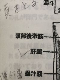 体の一部の漢字は 月 が付いている漢字が多いと思いますが 何故か分かる方います Yahoo 知恵袋