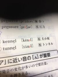 発音記号のeの反対向きのやつとeの反対向きが斜めになっているやつの違い Yahoo 知恵袋