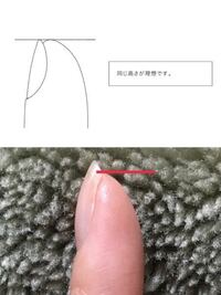 緊急 先ほど犬の爪切りを行ったところ 血管まで切ってしまいました Yahoo 知恵袋