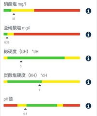 熱帯魚の水換えをした後には餌を1 2日与えない方が良い 新たに魚を追 Yahoo 知恵袋