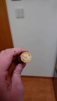 ぐにゃっと曲がってしまったごぼう 美味しくないのはわかってるんですけど 食べら Yahoo 知恵袋