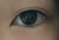 これは何型の目ですか アーモンド型 丸目や桃花眼 象眼など目の形の Yahoo 知恵袋