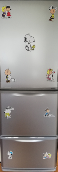 スヌーピーは何歳ですか Peanuts という作品は５０年にわたり連 Yahoo 知恵袋