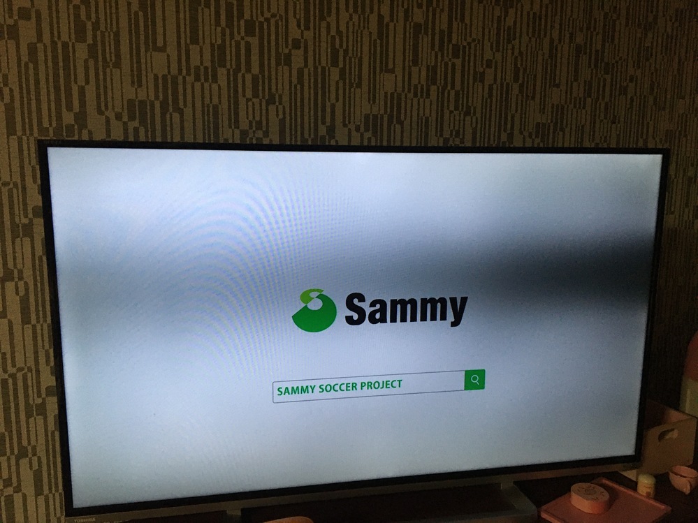 テレビ画面の故障でしょうか…どなたかお分かりの方教えてください