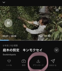 Dailymotionのアプリ スマホ でダウンロードの機能があるようなのですが 保存 Yahoo 知恵袋