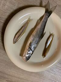 真ん中の魚ってなんですか 食べられますか こんにちは 水が綺麗な場所にい Yahoo 知恵袋