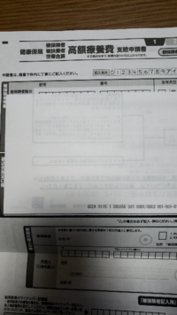 協会けんぽから高額療養費支給申請書が届いたのですが会社に届く全ての医療費が記載 Yahoo 知恵袋