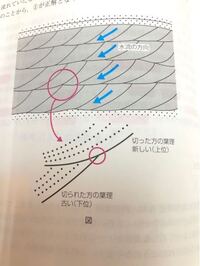 高校の地学で 地質時代の化石と時代の語呂合わせとか 暗記法みたいな Yahoo 知恵袋