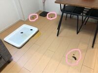 犬がパブロンを飲んでしまいました 先日から 犬がずっと変な咳をし Yahoo 知恵袋