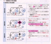 19年6 17現在 百度 Baidu へのアカウント登録ができません かれ Yahoo 知恵袋