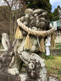 とある神社にいた狛犬ちゃんです 足元にも子供の 狛犬ちゃんが この Yahoo 知恵袋