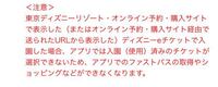 ディズニーリゾートの株主優待チケットについて 先日抽選に Yahoo 知恵袋