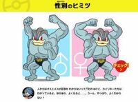 オスとメスの違い ポケモンのゴーリキーやカイリキーの性別 Yahoo 知恵袋