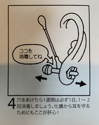 今日 ファーストピアスを開けたのですが 初日から洗浄してもいい Yahoo 知恵袋